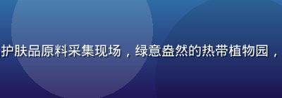 泰国天然草本亚洲精品护肤品原料采集现场，绿意盎然的热带植物园，工人手工采摘草本植物